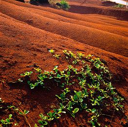 惊悚风格单人动作冒险游戏《MindsEye》现已开启预购 定价198元